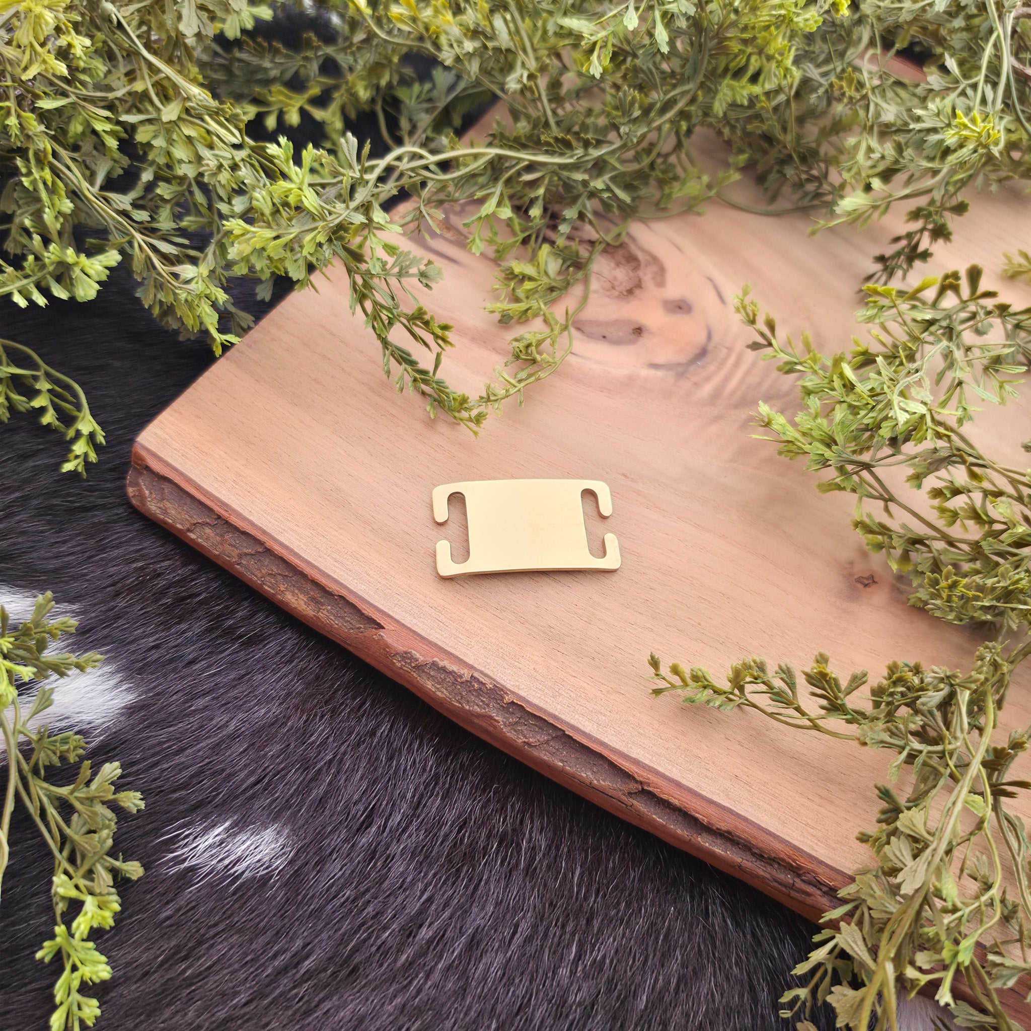 Slide On Pet Tag