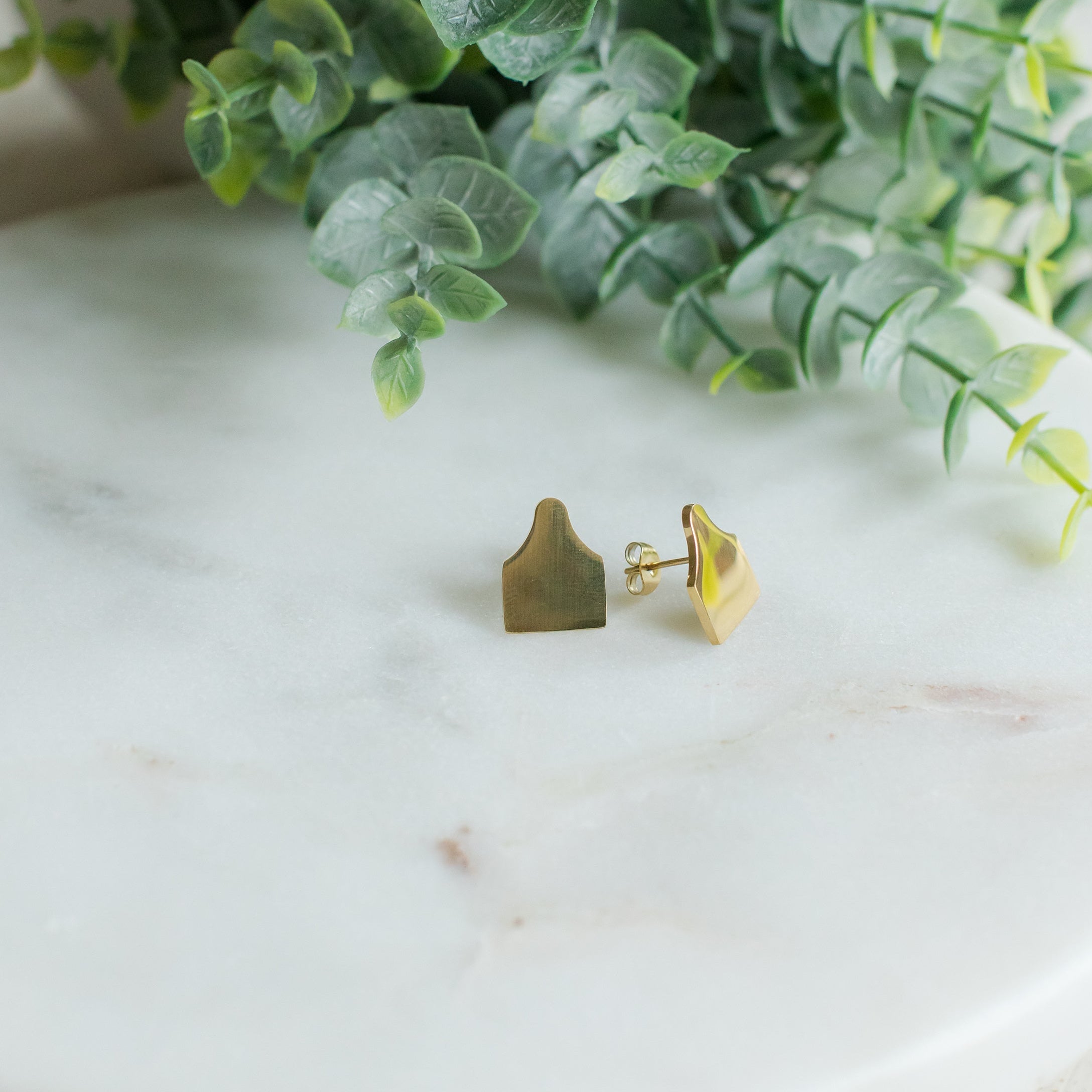 Ear Tag Stud Earrings