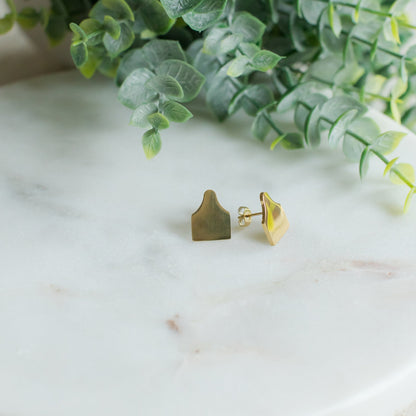 Ear Tag Stud Earrings