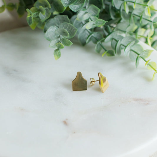 Ear Tag Stud Earrings